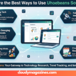 ways to use uhoebeans software